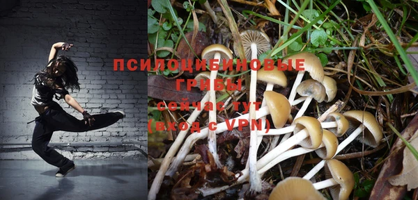 ПСИЛОЦИБИНОВЫЕ ГРИБЫ Аркадак