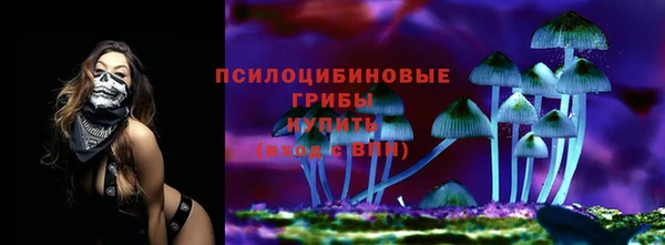 ПСИЛОЦИБИНОВЫЕ ГРИБЫ Аркадак